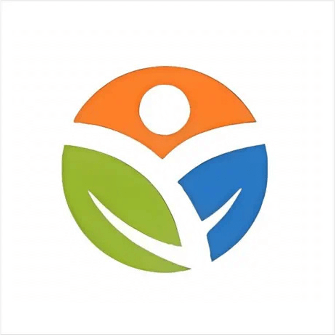 NLExpats logo
